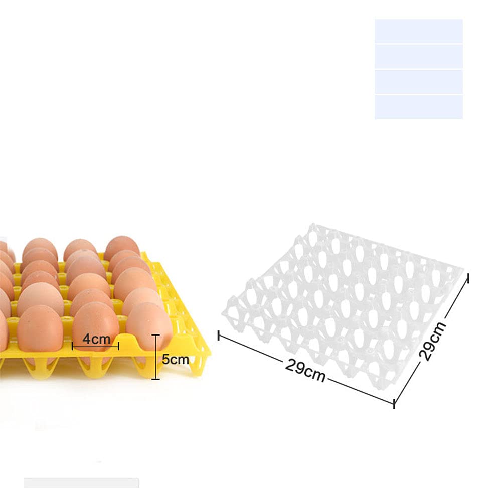 Lot de 5 plateaux à œufs en plastique pouvant contenir 30 œufs - 4 couleurs