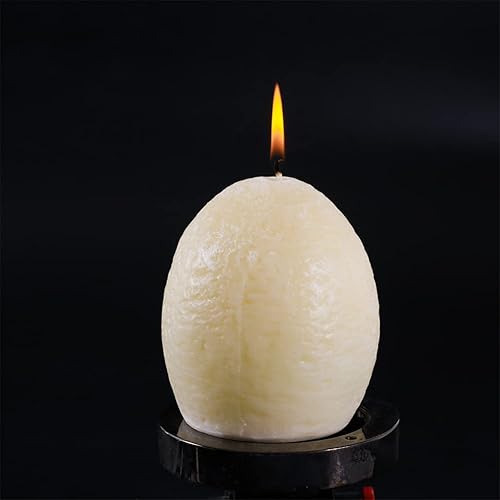 Miniatura 2 de T-Rex - Vela de huevos para incubar dinosaurios