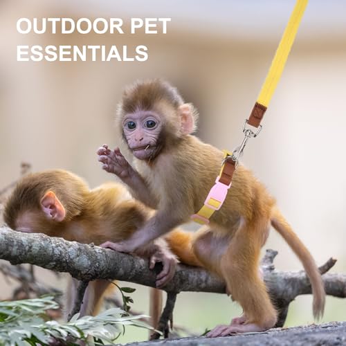 Image of Mini Monkey Leash, Adjustable Monkey Strap with Belly Bands and Matching Leash for Marmoset Monkey, Maximum Dimension 5.7 Inches for Monkey, Comfortable and Durable