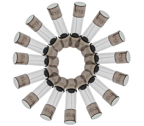 Fusible à fusion rapide 4A avec corps transparent pour détection immédiate - 3