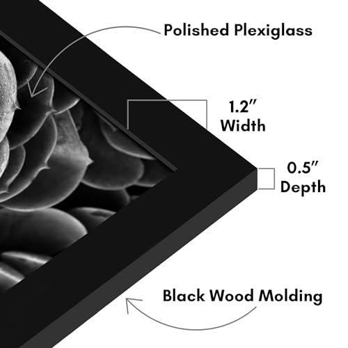 Image of Americanflat 14x19 Poster Frame - Black Engineered Wood with Polished Plexiglass - Wide Picture Frame for Vertical or Horizontal Wall Display - Epic Collection - Black