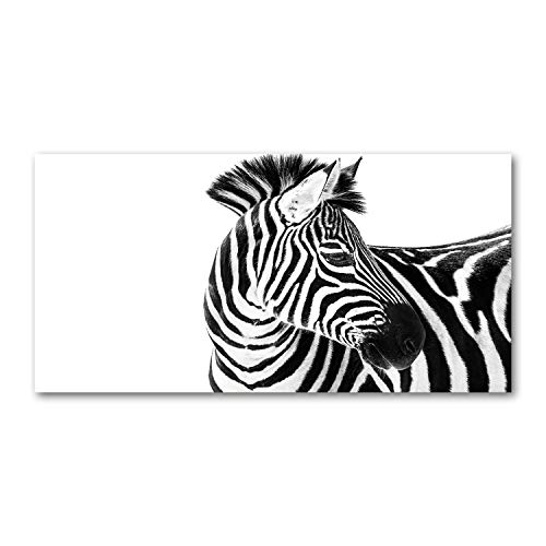 Toile animaux zèbre dans la neige tableau noir et blanc émotion sauvage Tulup 120x60