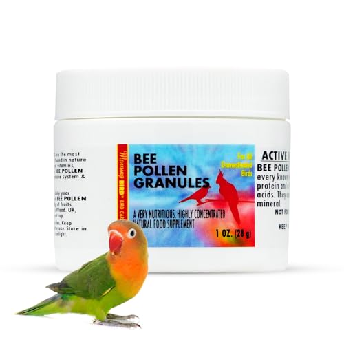 Morning Bird Bee Pollen Granules 1 Oz – Naturally Immune Support & Protein Powder for Birds – Boosts Strength, Feather Health & Energy Supplements – Easy to Mix with Food for All Bird Types