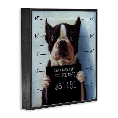 Image of 'Boston Terrier Jail Convicted Mugshot'| Framed Giclee Art | Stupell Industries | Black, 12 x 12 Inches, Easy to Hang and Sturdy, Made in USA, by Lucia Heffernan