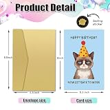 Zoytonky Funny Grumpy Cat Birthday Card for Coworker Boss, Humor Birthday Gifts for Work Friend, Happy Birthday Now Get Back To Work