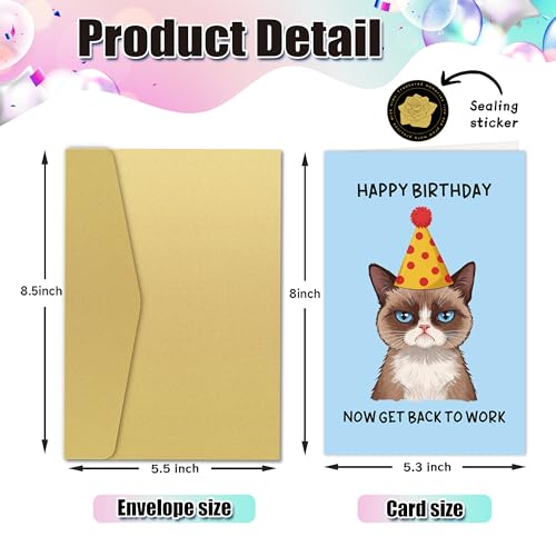 Zoytonky Funny Grumpy Cat Birthday Card for Coworker Boss, Humor Birthday Gifts for Work Friend, Happy Birthday Now Get Back To Work