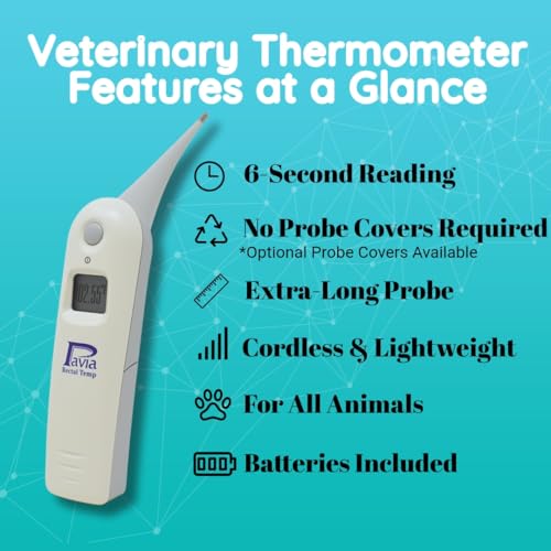 Pavia Rectal Temp Veterinary Thermometer | Accurate Temps in Only 6 Seconds | Cordless | Ideal for Dogs Cats Horses Pets | No Expensive Probe Covers | Trusted by Vets and Breeders