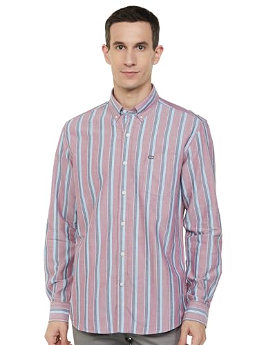 Image of Arrow Men's Striped Slim Fit Shirt