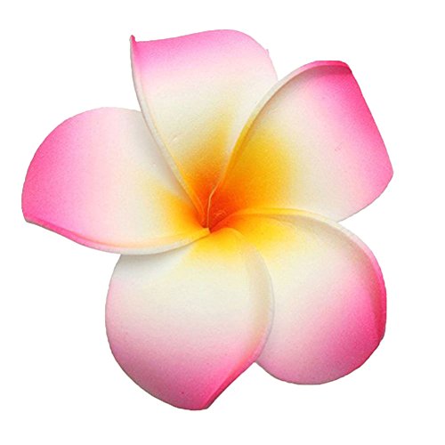 Pinzas para cabello multicolor foam 7 cm 10 pzas miniatura 3