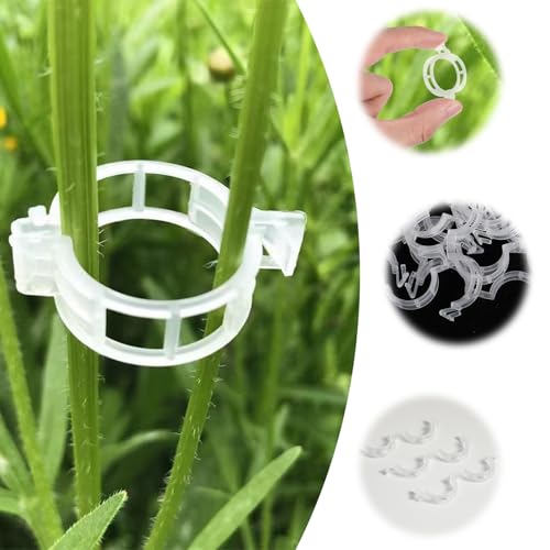 Tyqour 100 Stück Pflanzenclips Pflanzenklammern Tomatenclips Kunststoff Pflanzen Clips für Kletterpflanzen Pflanzenstützclip für Kletterpflanzen Gartenklammern für Unterstützen Pflanzen Gemüse Obst