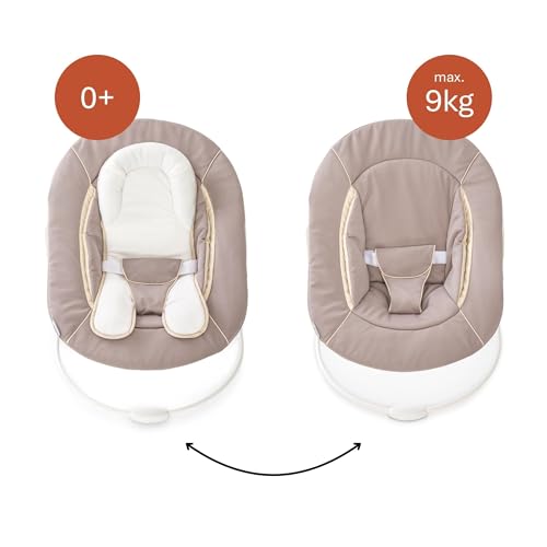 Image of Hauck Alpha Bouncer 2 in 1