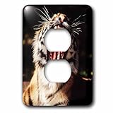 3dRose Michigan, Detroit, Detroit Zoo, Tiger with mouth open 2 plug outlet cover