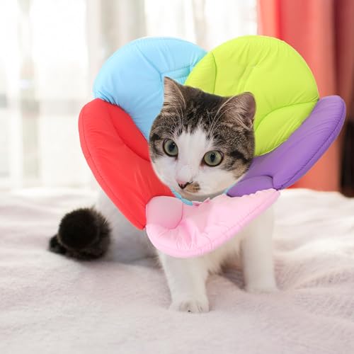 Image of POPETPOP Flower Shaped Elizabethan Pet Collar Size L Lightweight Recovery Neck Cover for Dogs to Help Prevent Licking and Scratching After Surgery Injury or Rash Care