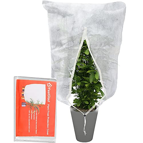 Devenirriche Protection hivernale pour plantes - 100 x 100 x 180 cm - Protection contre le gel - Avec cordon de serrage - Coupe-vent et résistant au gel Cover