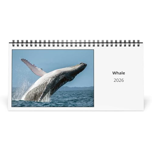 Whale 2026 Desk Calendar