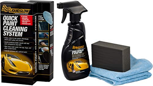 Liquid Glow 10201 Paint Cleaning Kit, 12.00 fl. oz, 1 Pack