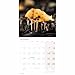 2026 Royal Botanic Gardens Kew, Kew in Colour Wall Calendar