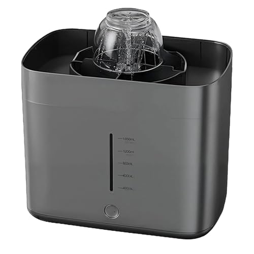 Enjuague eléctrico de vidrio de 1,8 L y lavadora de tazas automática de escritorio