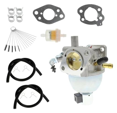 Kit réparation carburateur résout fuite essence moteur moto Briggs & Stratton 847395 808725