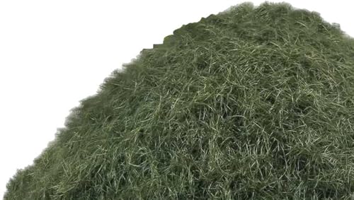 Flocage d'herbe statique 9-12 mm pour créer des herbes hautes réalistes en modélisme