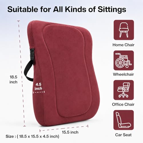 Image of Aasan Lumbar Support Pillow for Office Chair & Car Seat, Maroon | Ergonomic Back Support Cushion, Lower & Upper Back Pain Relief, Spine & Waist Support, For Long Sitting