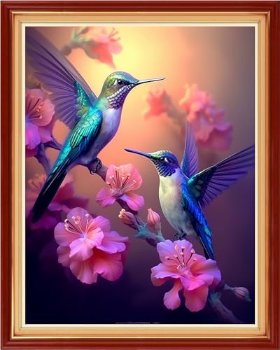 Image of Findvoor Stamped Cross Stitch Kits for Beginner Embroidery Kits for Beginners Adults DIY 11CT Cross Stitch Patterns Needlepoint Kits Crossstitching Kits-Hummingbird Flowers 16x20 inch