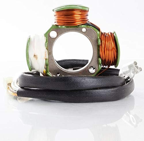 Ricks Motorsport Electric 21-820H Stator