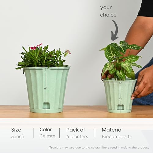 Image of Eha Earth Friendly Ace 5 inch Small Self Watering Pots for Indoor Plants | Set of 6 | Plant Pot Made with Bamboo Fibers | Table Top Planters for Home Decor, Flower Pot for Living Room | Celeste