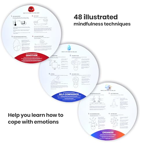 FeelWise Super EQ Kit - For Building Emotional Intelligence - Thirteen 12" Round 2-sided Emotion Wheels w/ Storage Envelope & Instructions - Emotion Learning Games for Kids, Parents, Professionals, Teachers, School Counselor - Screen-Free Activities - Image 5