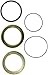 Pivot Works PWSHTB-H06-001 Shock Thrust Bearing Kit, Silver