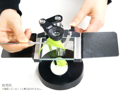 Amazon.co.jp: YASHIMA (八洲光学工業) 日本製 解剖顕微鏡 YD-1 