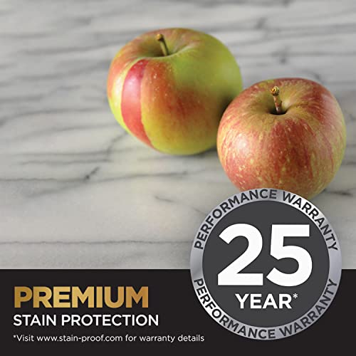 Drytreat 110712 Stain-proof Plus, 16 fl. oz. by Drytreat