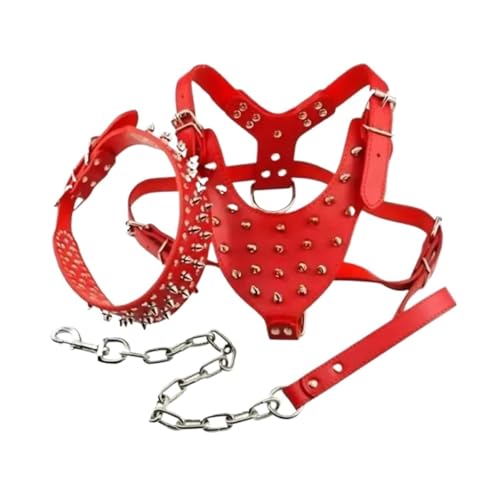 Laisse en cuir pour chien de petite taille, idéal balade