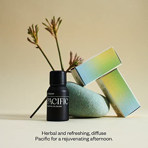 Vitruvi Pacific, Balance Essential Oil Blend, 100% Pure Amyris, Bergamot, Eucalyptus, Lavender And Basil Oil (0.5 Fl.oz) #TOP1