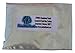 25g Blue Green Chameleon Paint Powder - Color Shift Paint Pigment - Non Toxic Includes 8 oz Mixing Cup