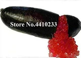 100 pcs Mixed Novel Finger Limes Citrus Bonsai, Rare Pomegranate so Delicious Sweet Fruit Seed for Home Garden Balcony Planting: 6: Only Seeds