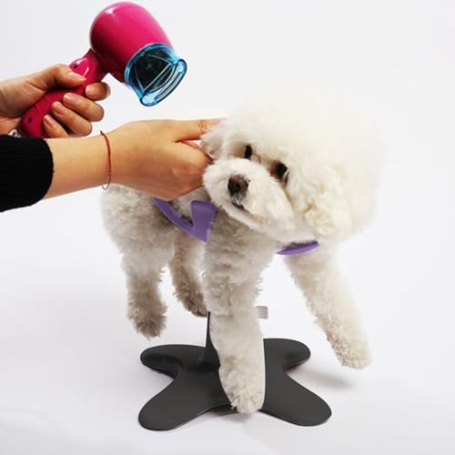 Support de toilettage pour chien réglable pour éviter le mal de dos