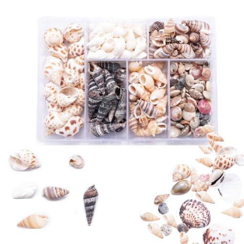 Uskerb 100 Pcs Seashell Mix for Crafts & Decor - Natural Spiral Shells, Starfish, Sea Urchins for Nautical Decor, Beach Themed Parties & DIY Projects