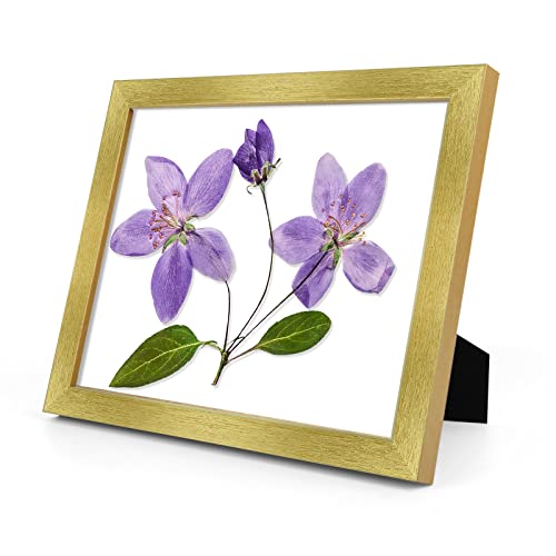 Frametory, 8.5X11 Picture Frame With Glass, Tabletop & Wall Horizontal Or Vertical Display, 8 1/2 X 11 Photo Frame For Diploma, Documents (Gold, 2-Pack) #TOP1