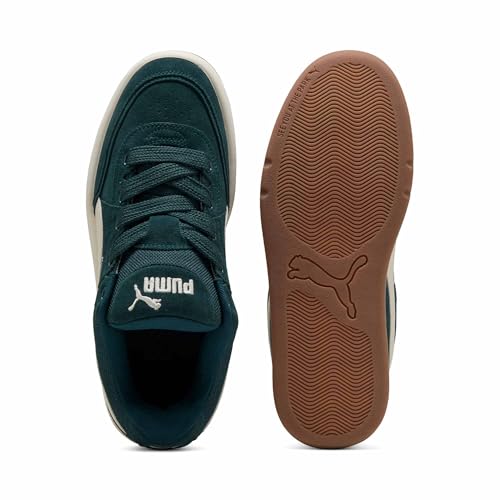 Image of Puma Mens Park Lifestyle Sk8 Shoes
