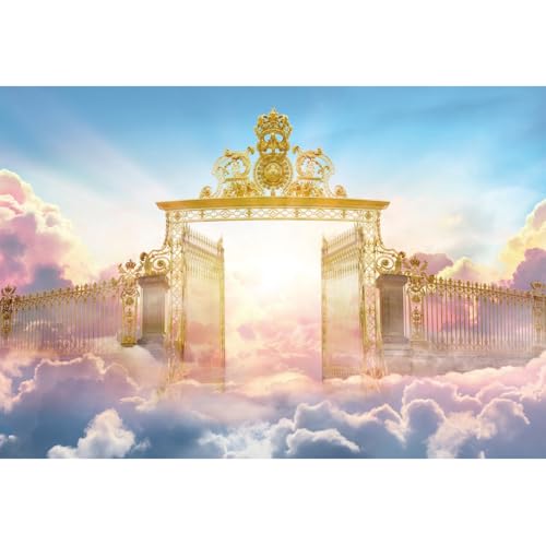 Ttincceer 3x2.5m Ciel séance Photo Toile de Fond rêve Paradis Porte Ciel Rose Blanc Nuage Baby Shower Photographie Toile de Fond garçon Fille Adulte fête...