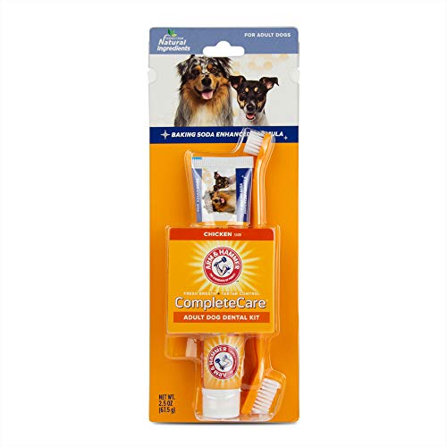 Arm & Hammer Complete Care Dog Dental Kit 2.5 oz Chicken Flavor