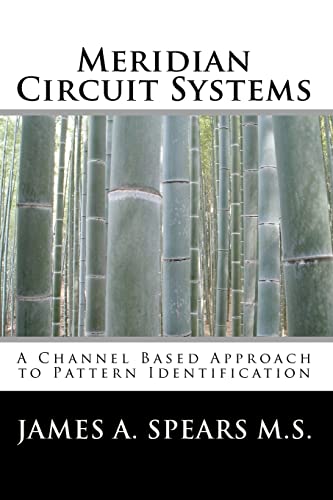 Meridian Circuit Systems: A Channel Based Approach to Pattern Identification