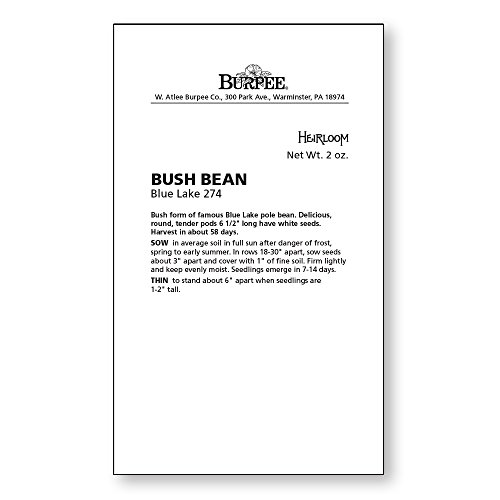 Burpee Blue Lake 274 Bush Bean Seeds 2 ounces of seed