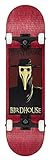 Birdhouse Skateboards Premium de qualité de Tony Hawk Peste Doctor Skateboard Complet, Rouge,...