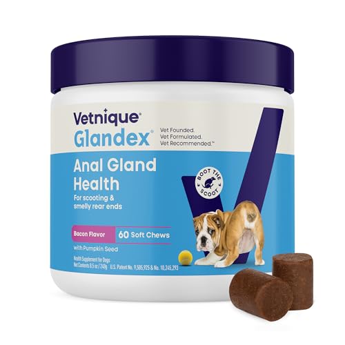 Image of Vetnique Glandex Anal Gland Soft Chew Treats with Pumpkin for Dogs Digestive Enzymes, Probiotics Fiber Supplement for Dogs Boot The Scoot (Bacon Flavor Chews, 60 Count)