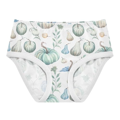 Cotton Toddler Girls Underwear Pumpkins Pastel Cute Panties Girl Colorful Briefs Underpants 2t
