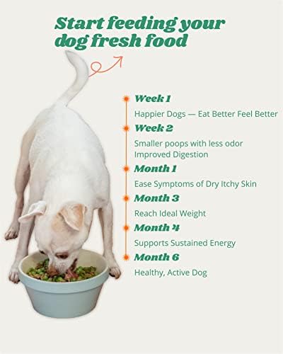 Azestfor Homemade Dog Food Supplement Dog Vitamins Made in USA Add to Holistic Whole Food Diets Raw BARF All Breeds Puppy Adult 16oz Powder 4 Azestfor Homemade Dog Food Supplement Dog Vitamins Made in USA Add to Holistic Whole Food Diets Raw BARF All Breeds Puppy Adult 16oz Powder