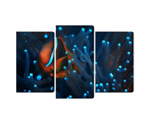 Tableau sur toile poisson-clown pour salon moderne | Déco murale marine Wallero 150x100