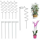 12 pièces Tuteur à tomates 40cm Tuteur en Spirale et Droit Tomato Spiral Stakes Réutilisable Supports torsadés en métal pour Plantes grimpantes, tomates, rosiers et vignes de Jardin (2 Types)